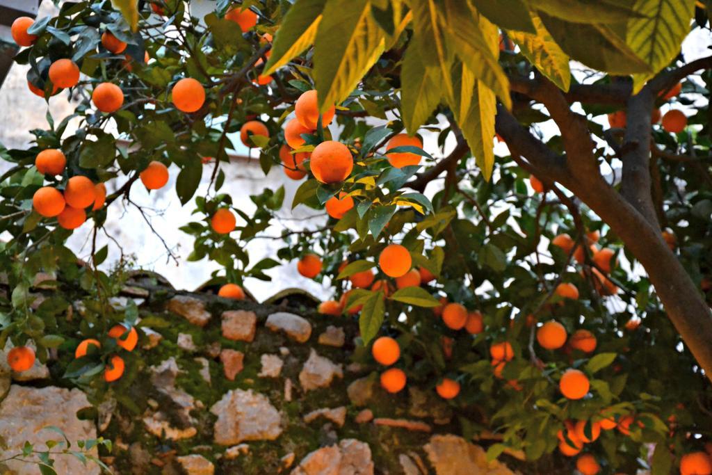 Apartmán Giardino Del Sole Taormina Exteriér fotografie